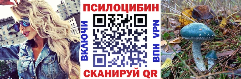 Купить закладки  Тихвин  Галлюциногенные грибы прущие грибы 